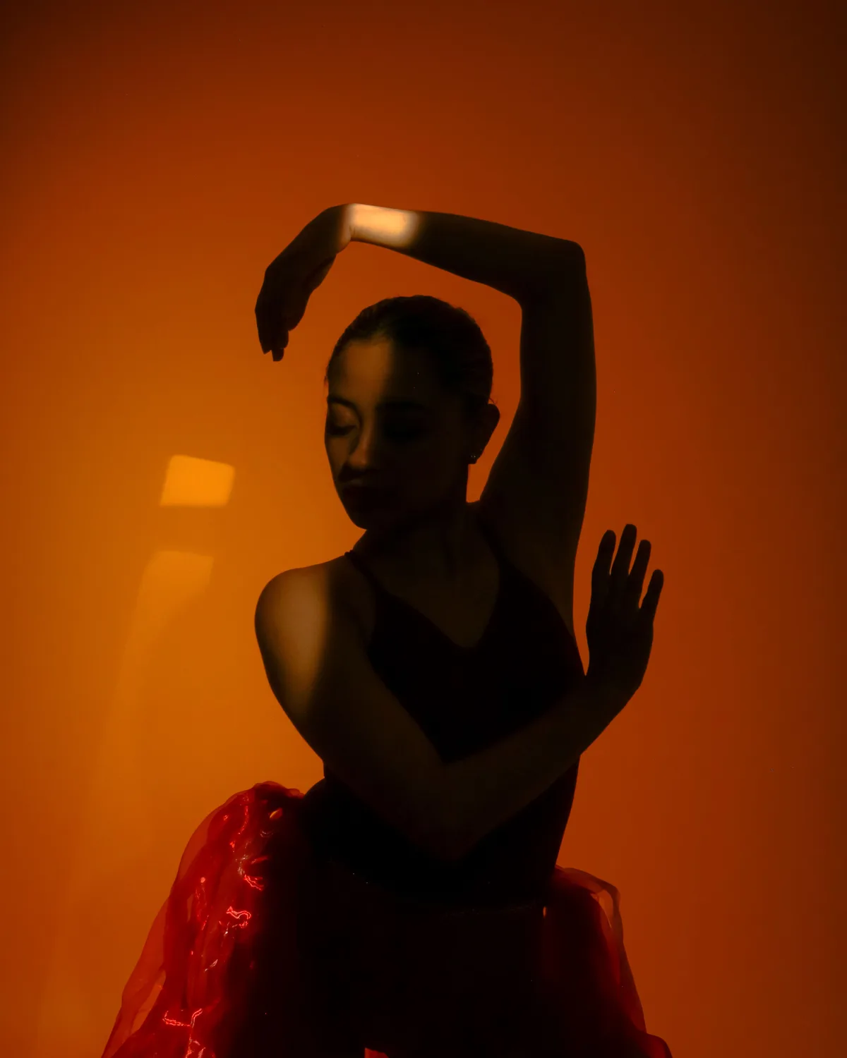 Silhouette